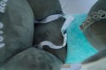 DSC05399_Easy-Resize.com.jpg